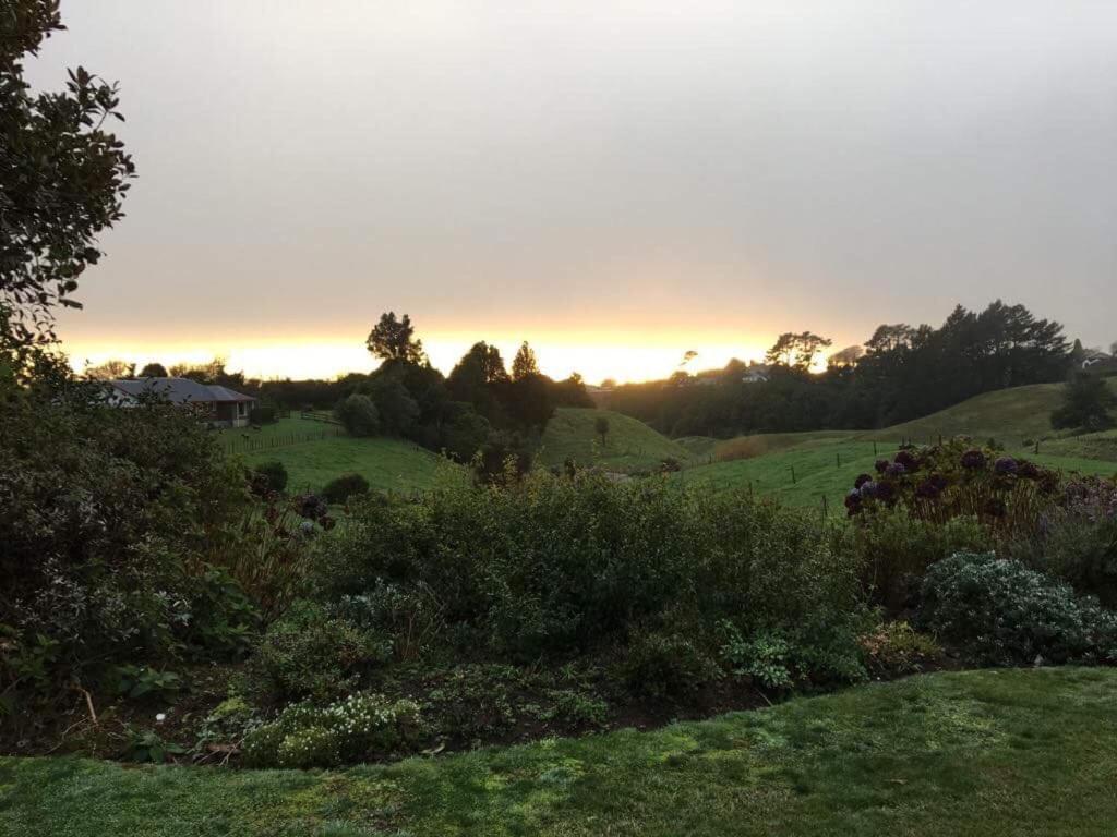 Pukeko Lodge Bnb New Plymouth Exterior photo
